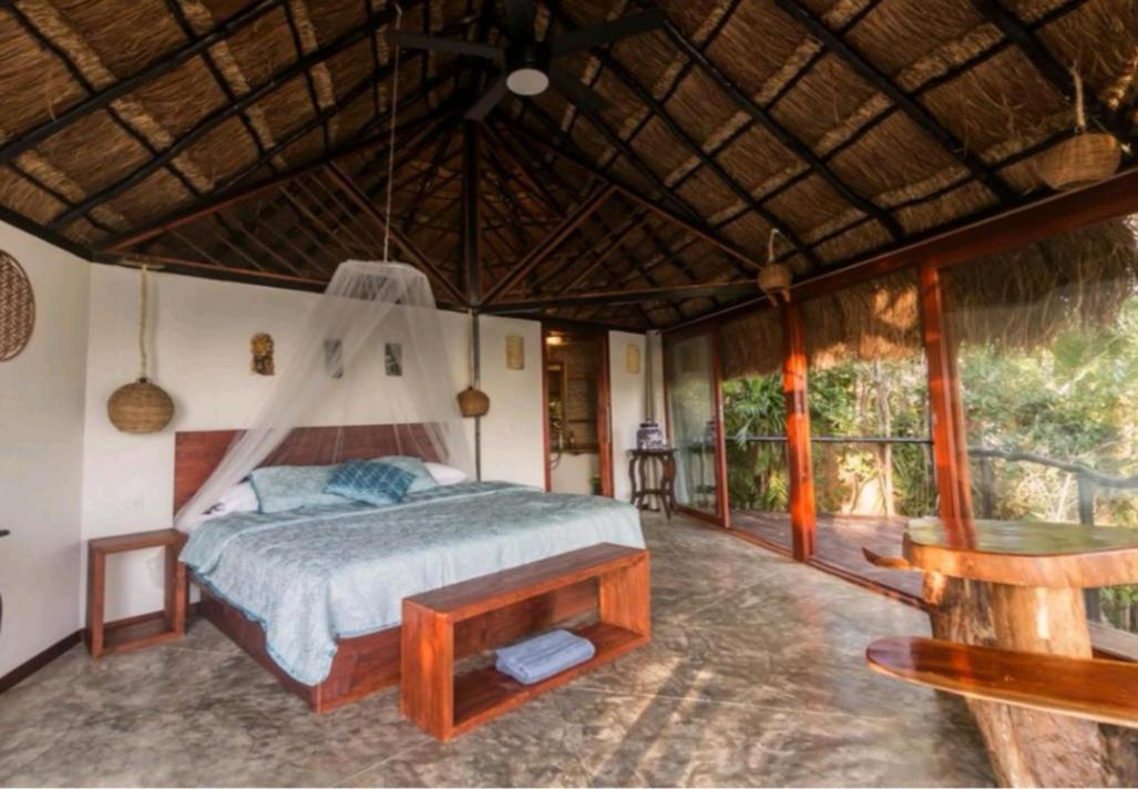 Mercedes Bacalar Room photo